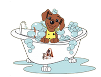  a doggy in a bath tub
